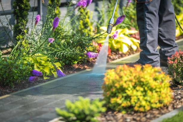Best Driveway Pressure Washing  in Chagrin Falls, OH